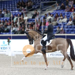 HR2A7528