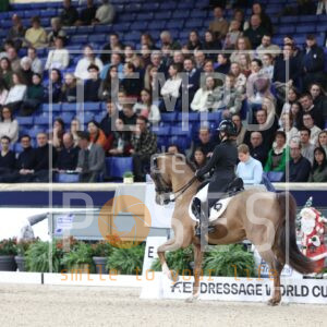 HR2A7555