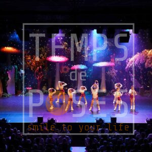 DSC03006