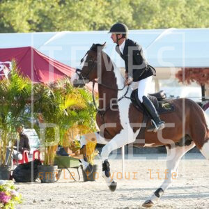 DSC05054 copie