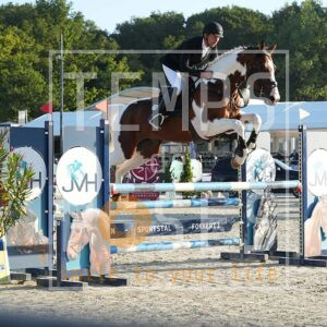 DSC05055 copie