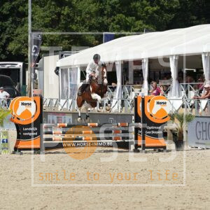 DSC07745 copie