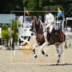 DSC07746 copie