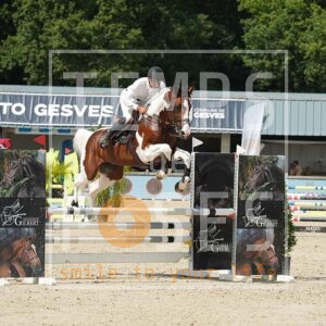DSC07748 copie