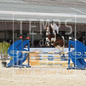 DSC07749 copie