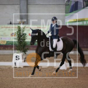 5S8A3663