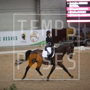 Geronimo Star Van Oudenhove