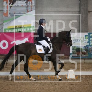 Indigo des 4 Chemins