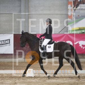 WinHorses' De Beau's Best