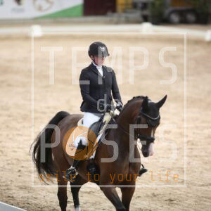 WinHorses' Fearless