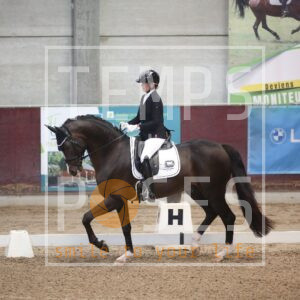 What a Diamond Der Steenakker