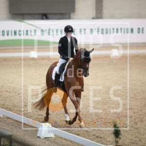 WinHorses' Beating Heart