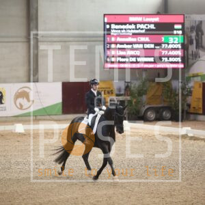Vince vh Hulsterhof