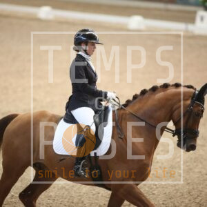Everlast Winhorses'