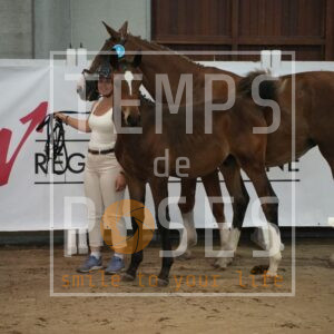 DUKE OF FÉE DES SOURCES Z