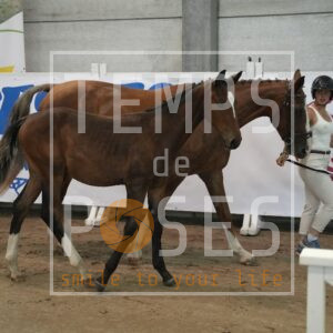 DRS00719
