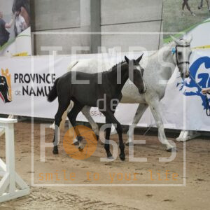 DRS00770