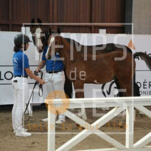 U ELY BE GOOD DE LA BASTIDE