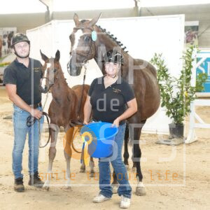 Foals