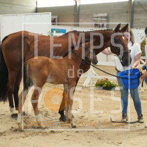 DRS01779