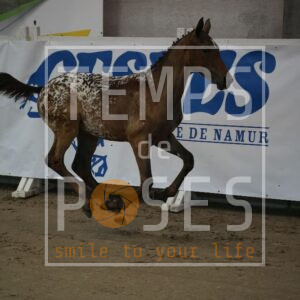DRS01850
