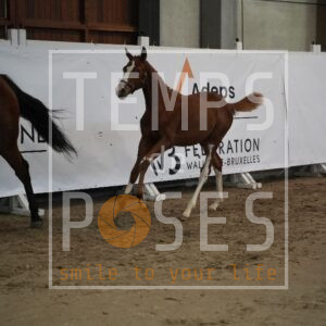 DRS02014