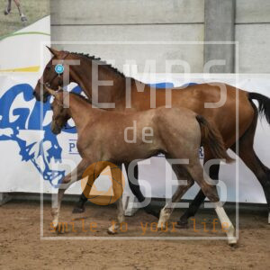 DRS02223
