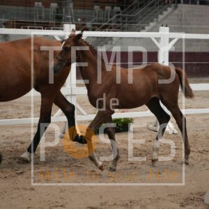 UNE CHAMPIONNE D.H.T.B. DE LA NOUE