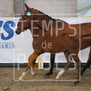 DRS02335
