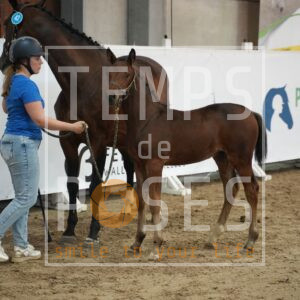 PILA G Z
