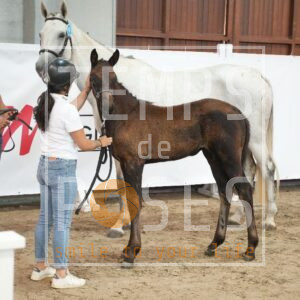 DRS02820