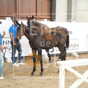 UPPERCUT DU PAIRON