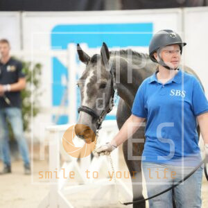 SIXTINE BELAMY DE CHAVANNE
