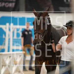 ROCKY BE GOOD DE LA BASTIDE