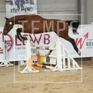 SAUVENIERE ZAMOUR DE FEE