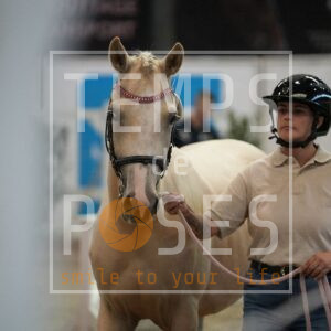 DRS04918