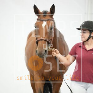 ARIA STAR BY CLASSIC Z