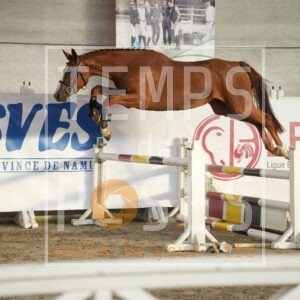 DRS05554