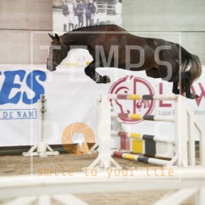 DRS05681