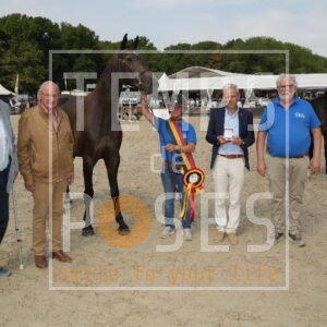 DRS06505