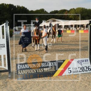 5 ANS DRESSAGE