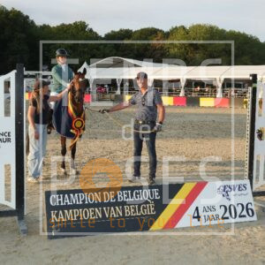 6 ANS DRESSAGE poneys