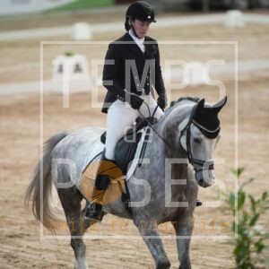 Prodigy des Rives