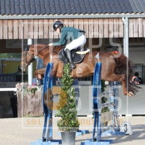 HR2A0133