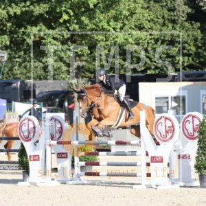 Amoretto du Rombout Z