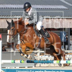 HR2A0221
