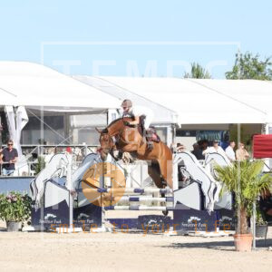 Wow Chique Van De La Rosteehoeve