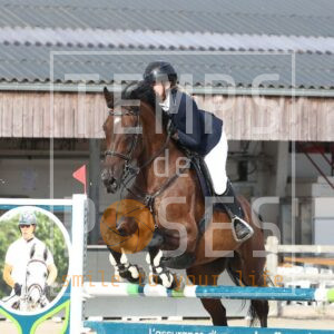 HR2A0324