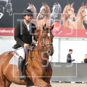 HR2A0339