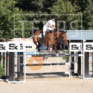 Belle Balou vh Legitahof Z